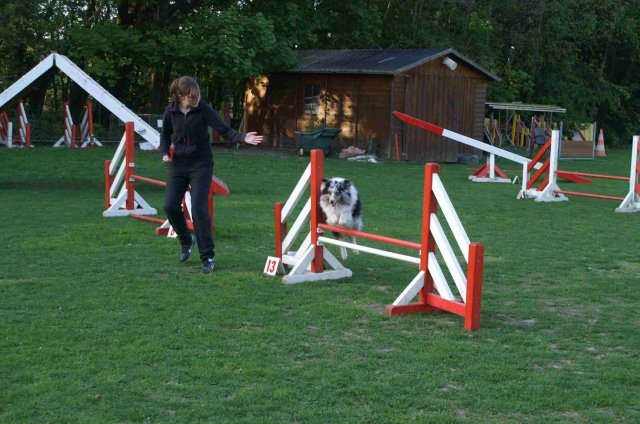 agility 2011-04
